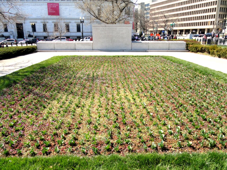 First Division Monument with tulips - Washington, DC - DSC08284