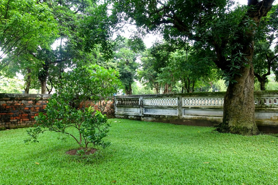 First courtyard - Temple of Literature, Hanoi - DSC04702