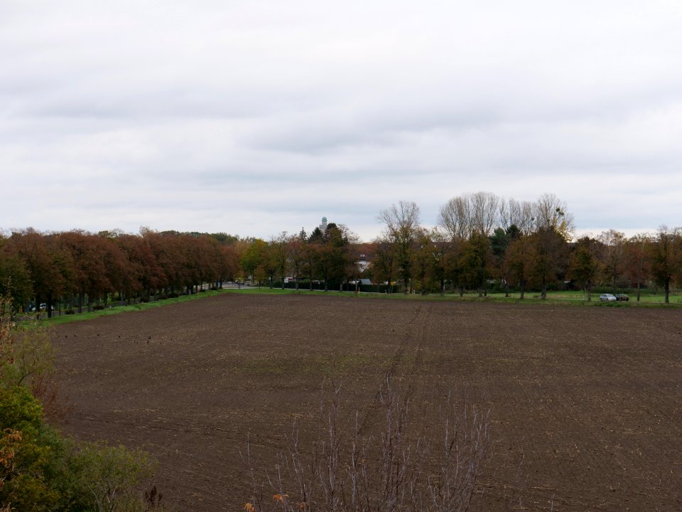 Field at Großbeeren Bahnhofstraße on 2019-11-05 02