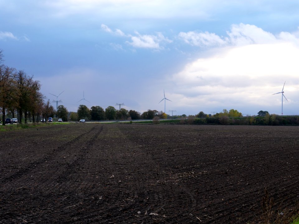 Field at Großbeeren Bahnhofstraße on 2019-11-05 17