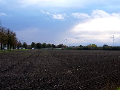 Field at Großbeeren Bahnhofstraße on 2019-11-05 17
