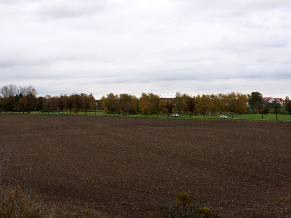 Field at Großbeeren Bahnhofstraße on 2019-11-05 04