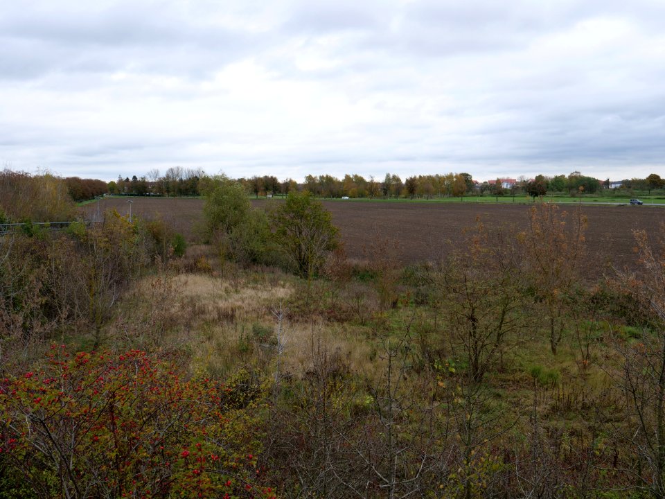 Field at Großbeeren Bahnhofstraße on 2019-11-05 09