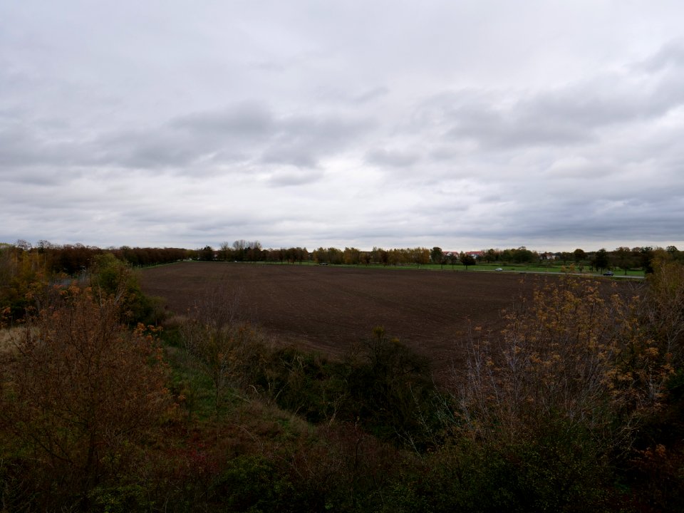 Field at Großbeeren Bahnhofstraße on 2019-11-05 01