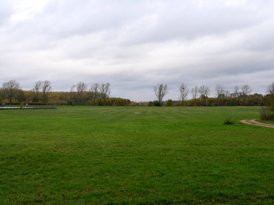 Field at Großbeeren Bahnhofstraße on 2019-11-05 15