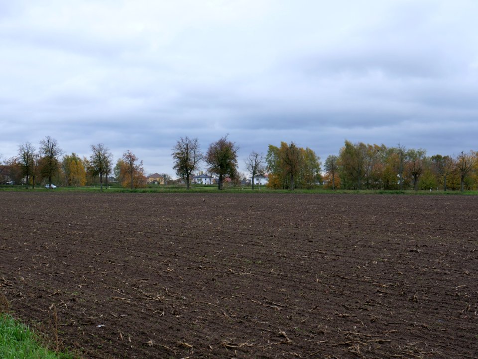 Field at Großbeeren Bahnhofstraße on 2019-11-05 13