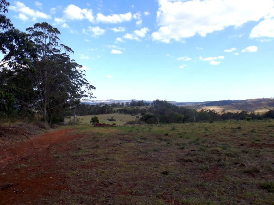 Field at Grapetree