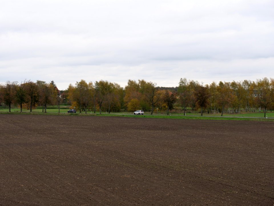 Field at Großbeeren Bahnhofstraße on 2019-11-05 05