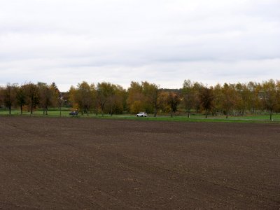 Field at Großbeeren Bahnhofstraße on 2019-11-05 05
