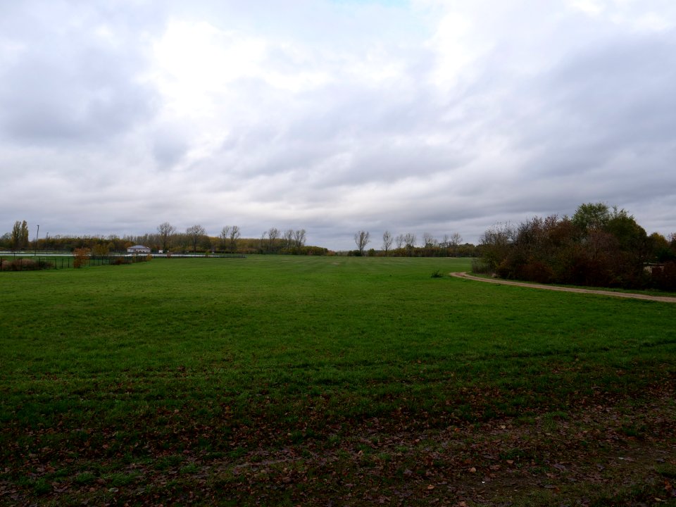 Field at Großbeeren Bahnhofstraße on 2019-11-05 14