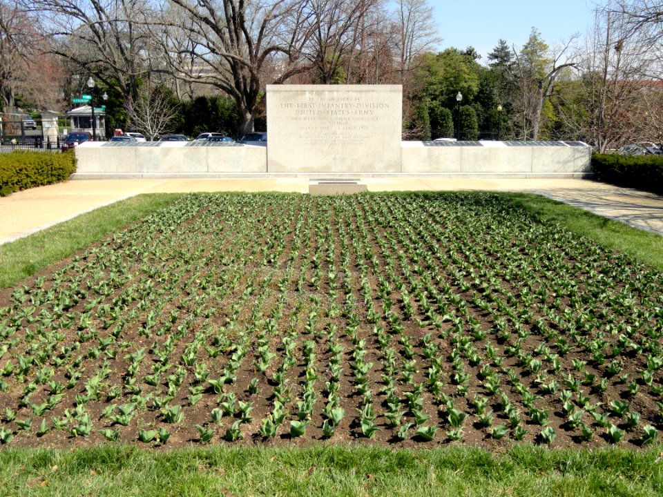 First Division Monument with tulips - Washington, DC - DSC08282