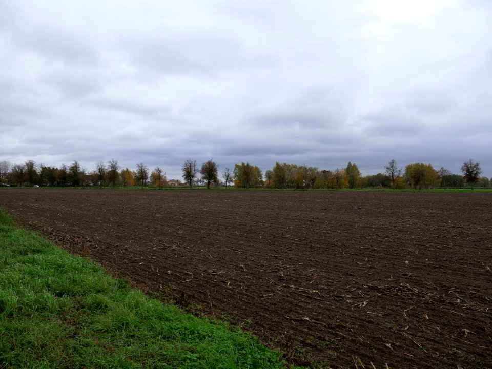 Field at Großbeeren Bahnhofstraße on 2019-11-05 12