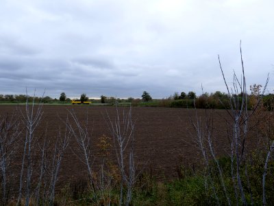 Field at Großbeeren Bahnhofstraße on 2019-11-05 10