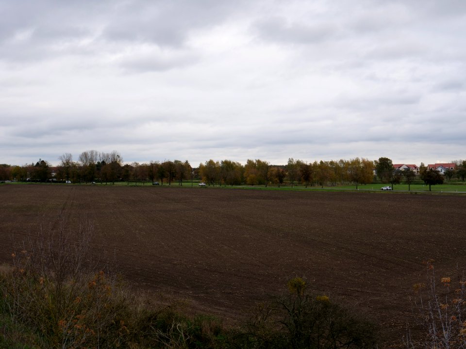 Field at Großbeeren Bahnhofstraße on 2019-11-05 06