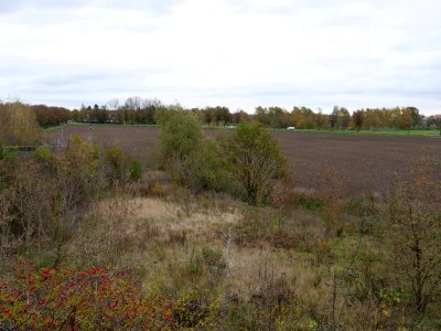 Field at Großbeeren Bahnhofstraße on 2019-11-05 08