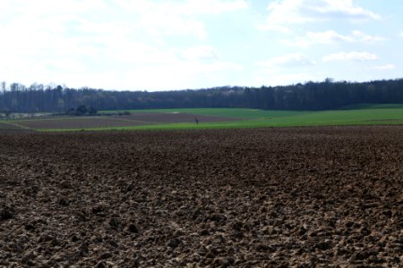Field in Köppern 2021-04-02 08