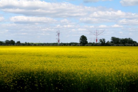 Field in Nauen 2020-05-15 05