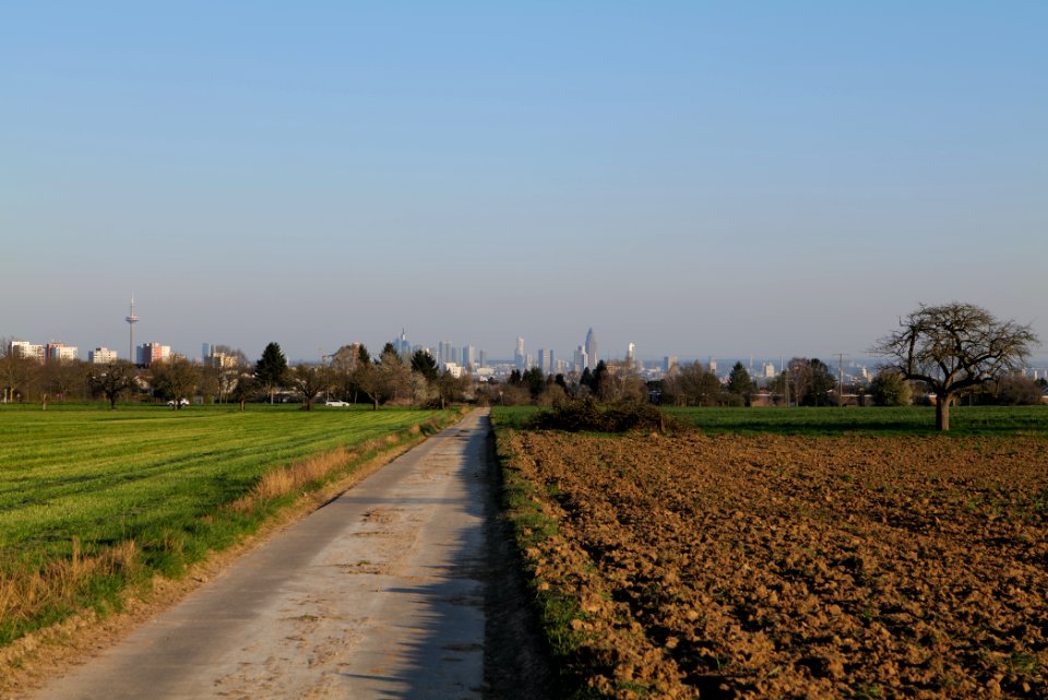 Field in Kronberg 2020-03-25 02