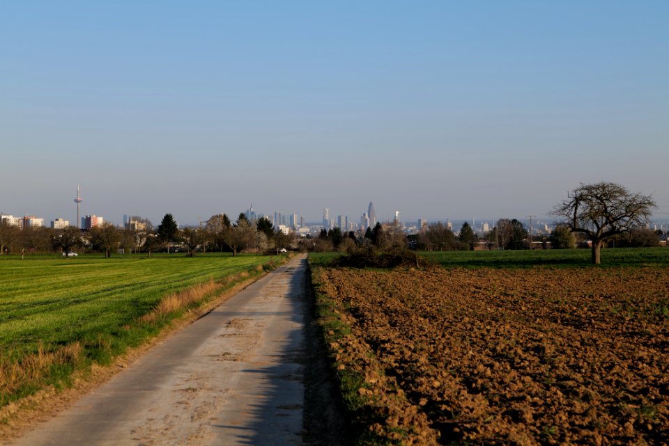 Field in Kronberg 2020-03-25 01