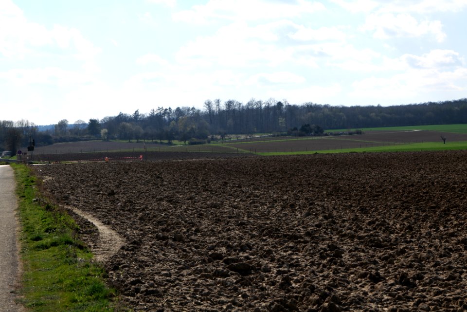 Field in Köppern 2021-04-02 09