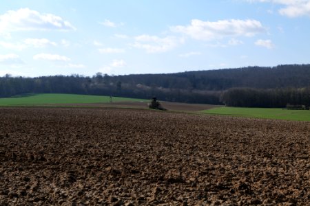 Field in Köppern 2021-04-02 05