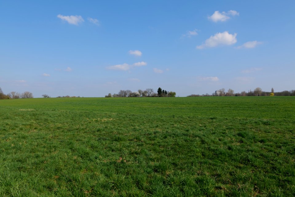 Field at Frankurter Berg 2020-03-22 08