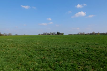 Field at Frankurter Berg 2020-03-22 08