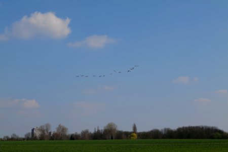 Field at Frankurter Berg 2020-03-22 05