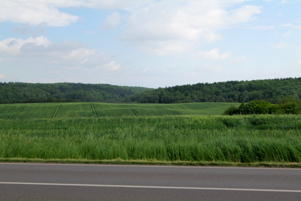 Field in Hardenbeck 2021-05-29 39
