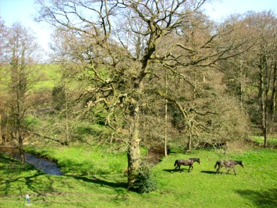Field at back of Siddington church