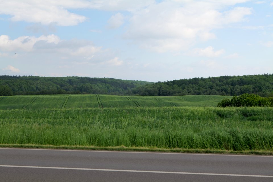 Field in Hardenbeck 2021-05-29 38