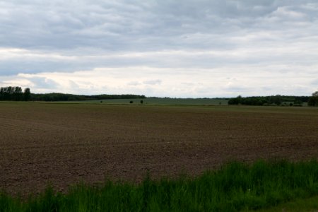 Field in Fehrbellin 2020-05-15 06