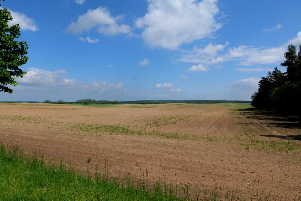 Field in Berkholz 2021-05-29 01