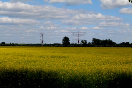 Field in Nauen 2020-05-15 03