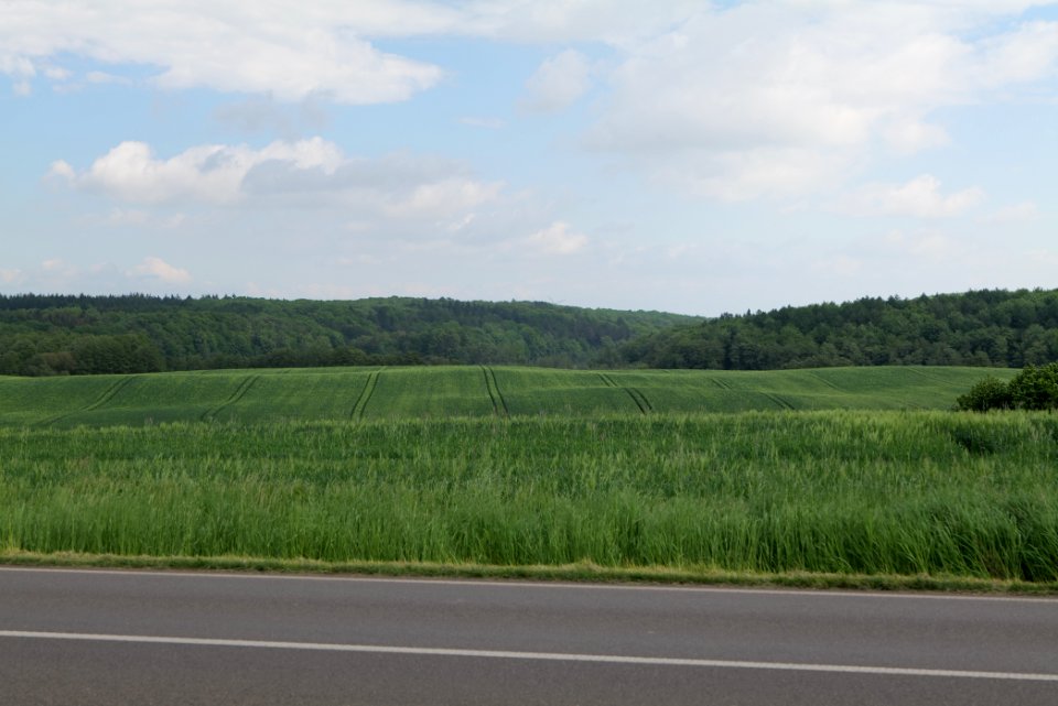 Field in Hardenbeck 2021-05-29 40