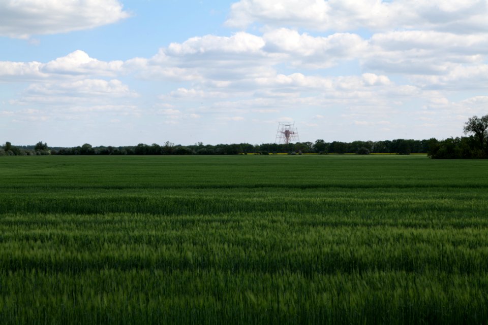 Field in Nauen 2020-05-15 11