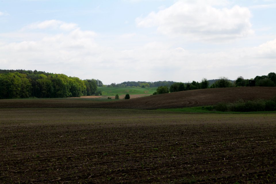 Field in Densow 2021-05-29 02