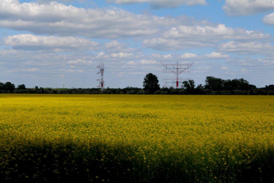 Field in Nauen 2020-05-15 04