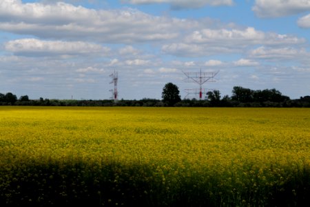 Field in Nauen 2020-05-15 04