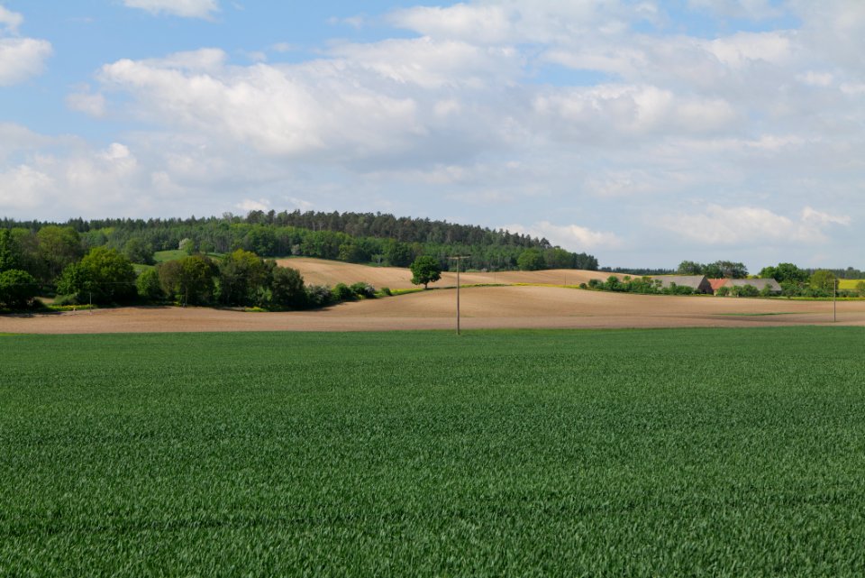 Field in Berkholz 2021-05-29 07