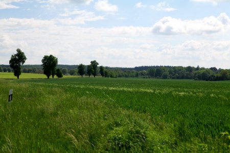 Field in Gollmitz 2021-05-29 14