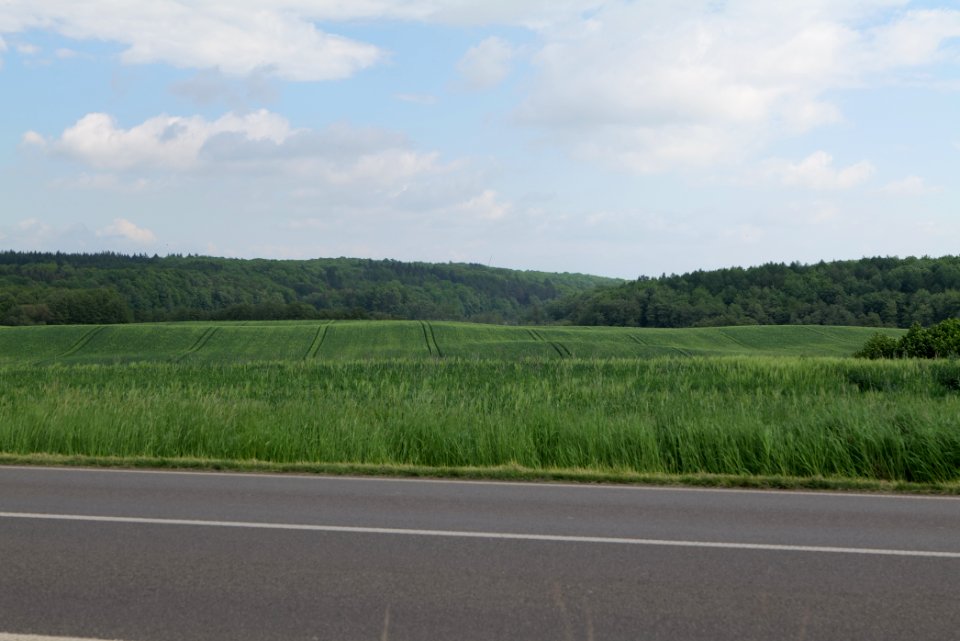 Field in Hardenbeck 2021-05-29 37
