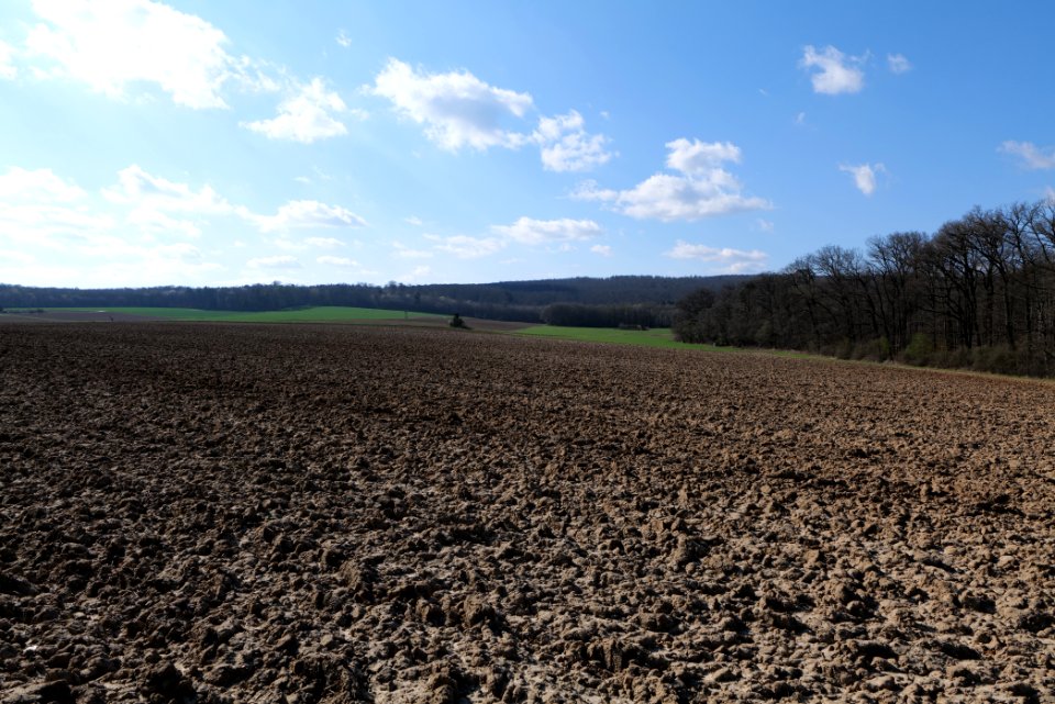 Field in Köppern 2021-04-02 01