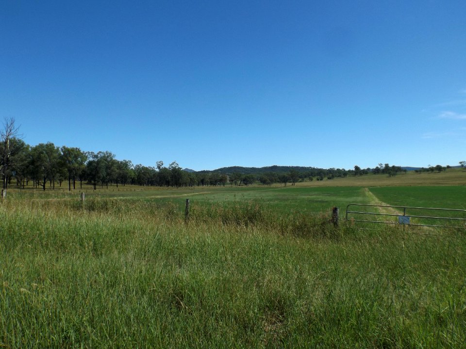 Fields along Mount Walker West Road Mount Walker West
