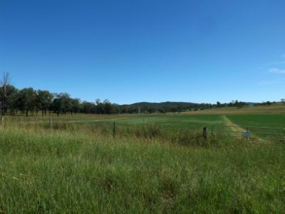 Fields along Mount Walker West Road Mount Walker West