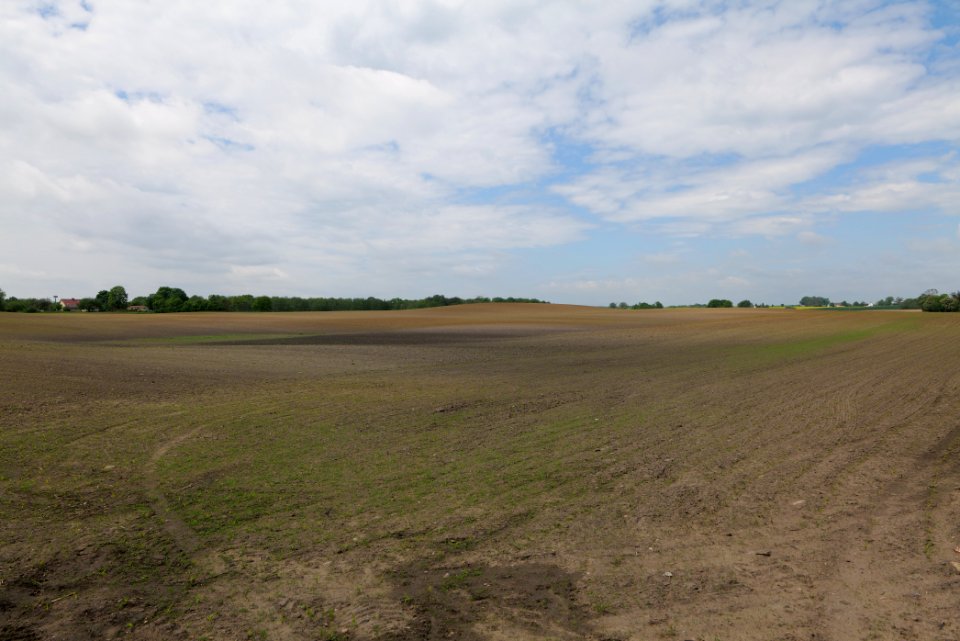 Field in Hardenbeck 2021-05-29 27