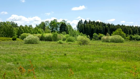 Fields at north Myrstigen track 2