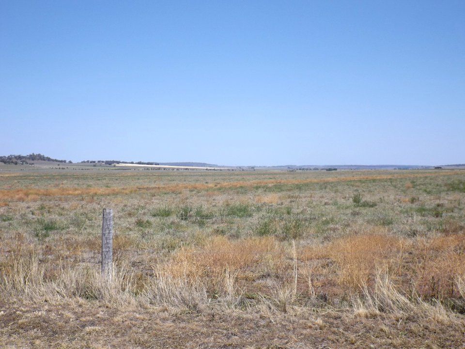 Fields at Felton