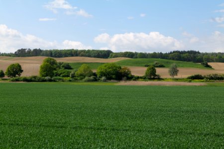 Field in Berkholz 2021-05-29 14
