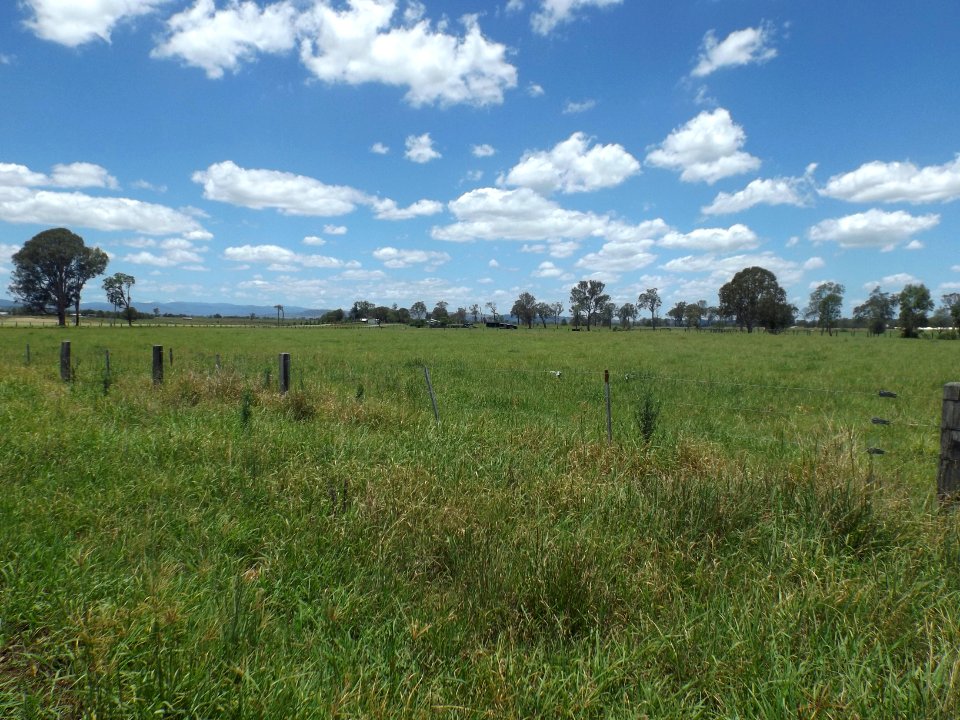 Fields along Alan Creek Road at Gleneagle, Queensland 2